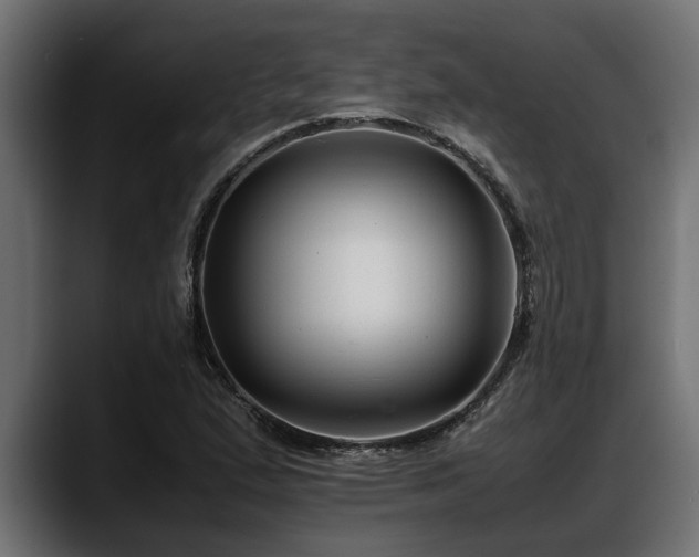 X0000088361167200705291301