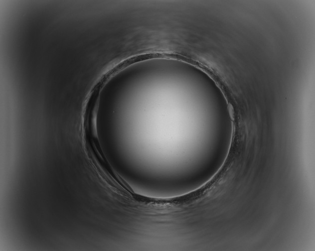 X0000088361168200705291301