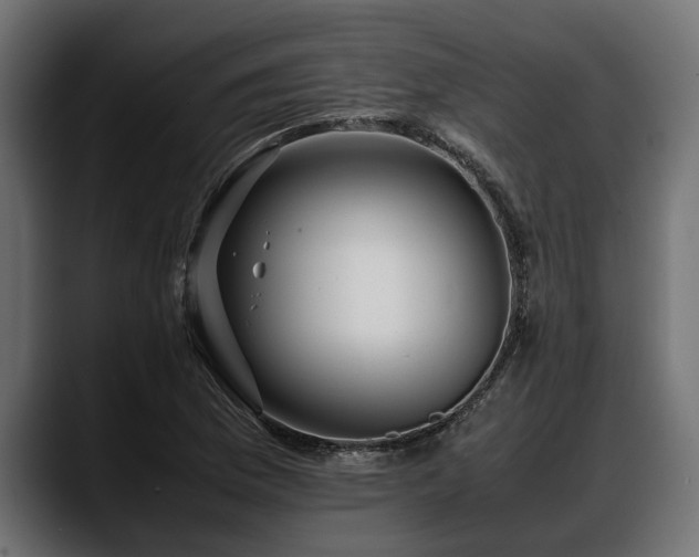 X0000088361169200705291301