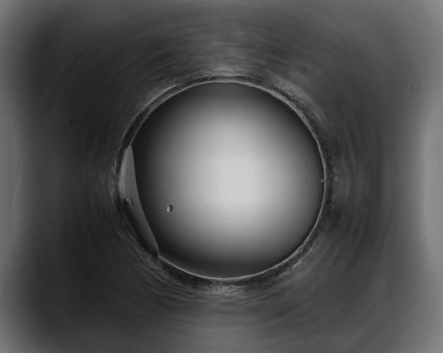 X0000088361170200705291301