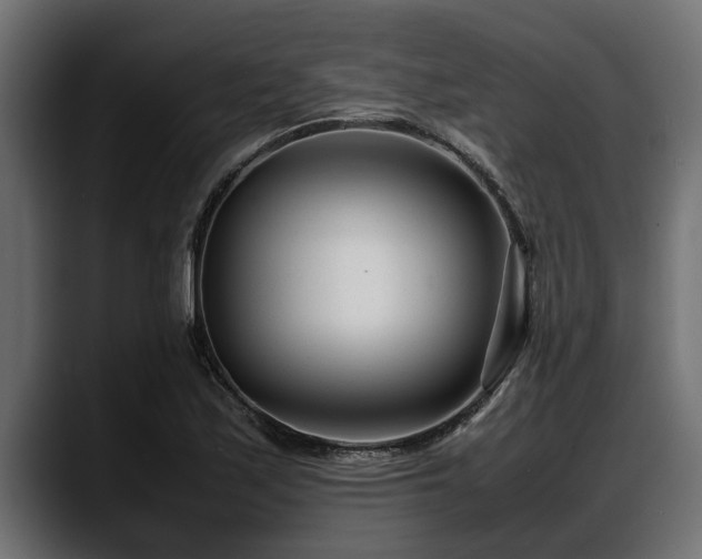 X0000088361171200705291301