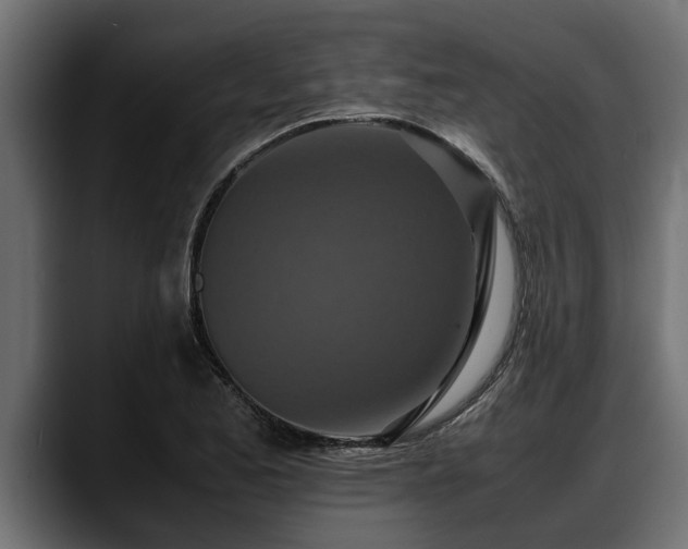 X0000088361173200705291301