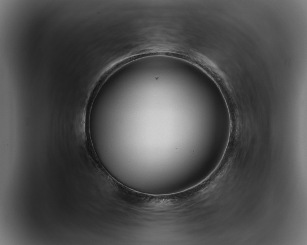 X0000088361174200705291301