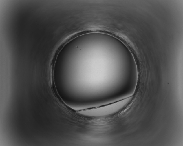 X0000088361175200705291301