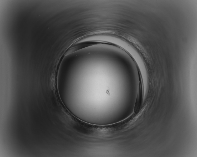 X0000088361177200705291301