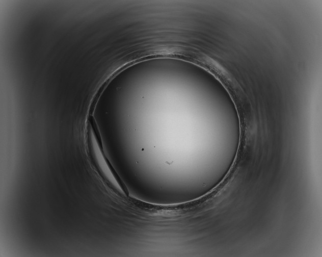 X0000088361178200705291301