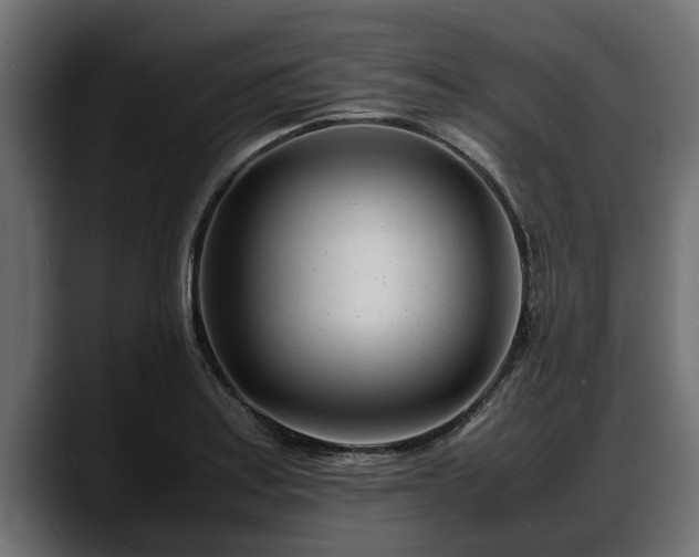 X0000088361179200705291301