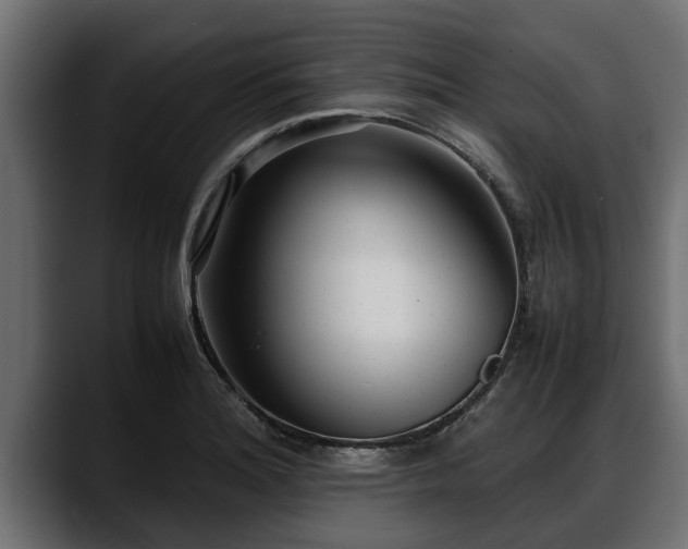 X0000088361180200705291301