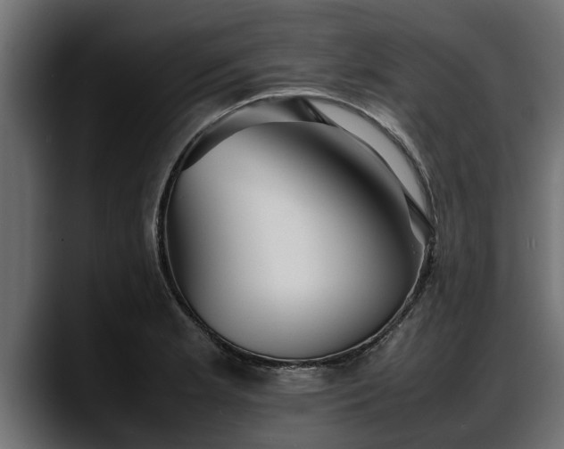 X0000088361181200705291301