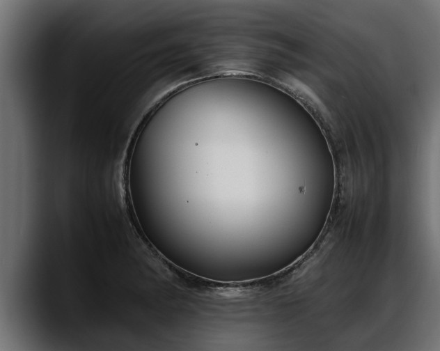 X0000088361182200705291301