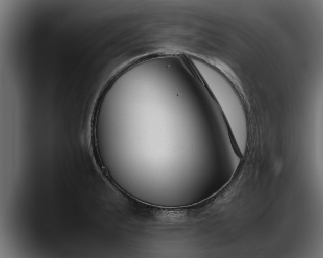 X0000088361183200705291301