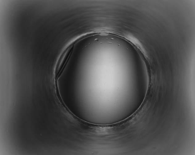 X0000088361184200705291301