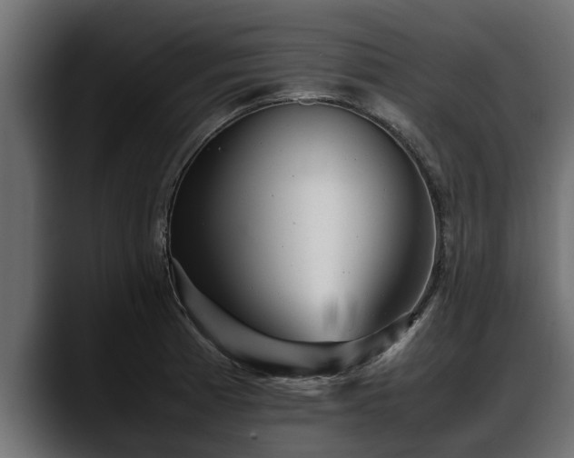 X0000088361185200705291301