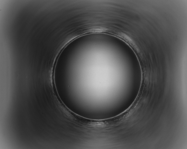 X0000088361186200705291301