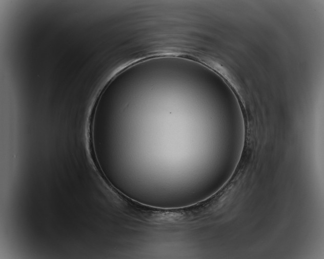 X0000088361187200705291301