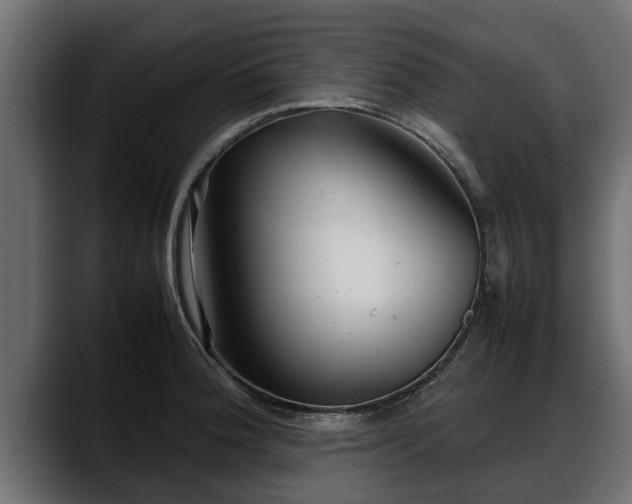 X0000088361188200705291301