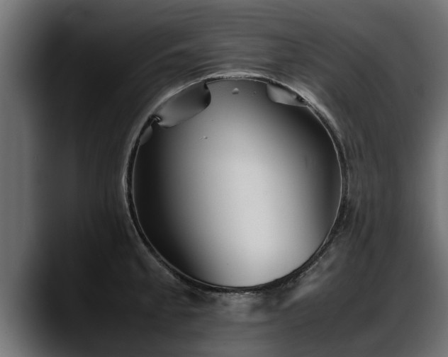 X0000088361189200705291301