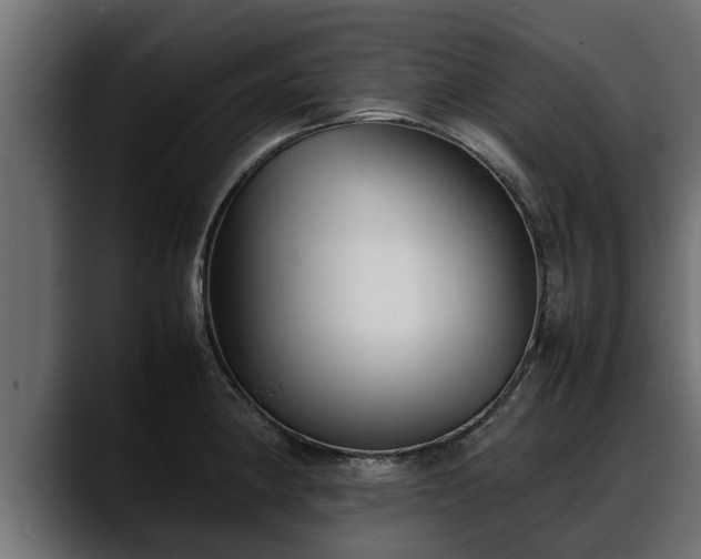 X0000088361190200705291301