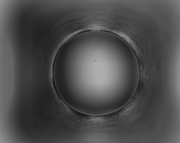 X0000088361191200705291301