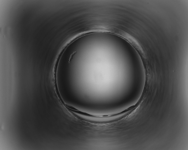 X0000088361192200705291301