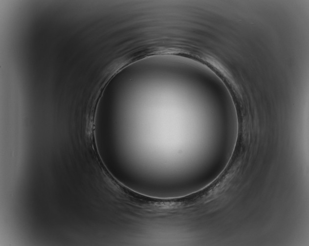 X0000088361193200705291301