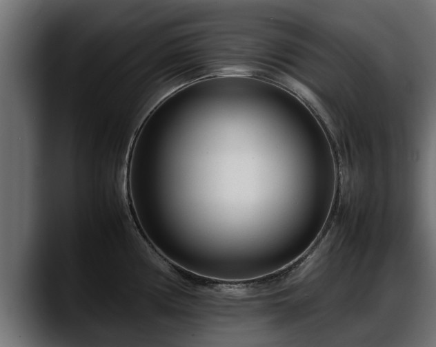 X0000088361194200705291301