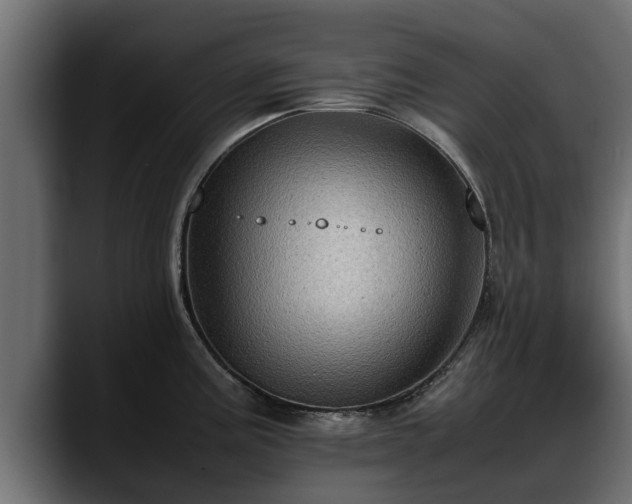 X0000088361195200705291301