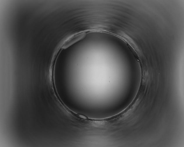 X0000088361196200705291301