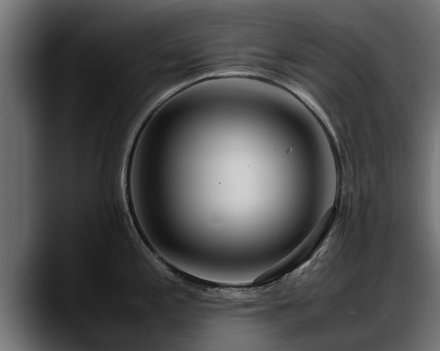 X0000088361197200705291301