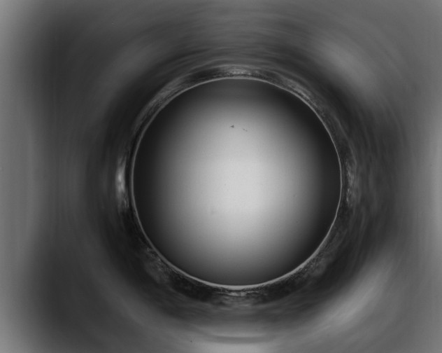 X0000088361198200705291301