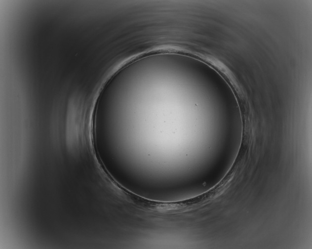 X0000088361199200705291301