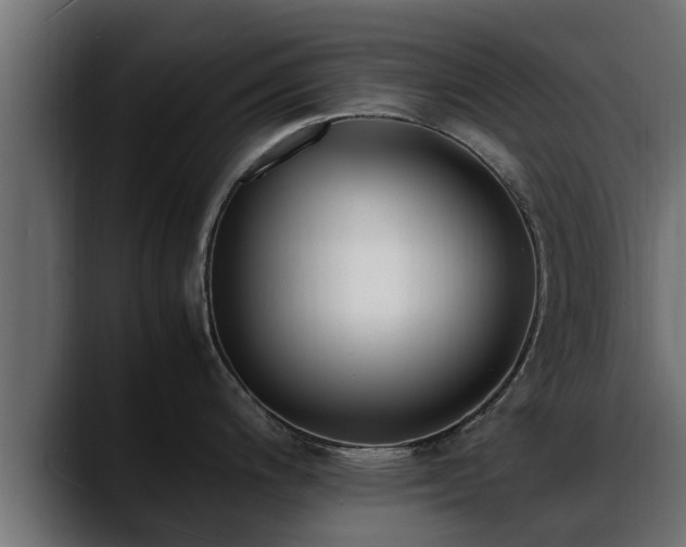 X0000088361200200705291301