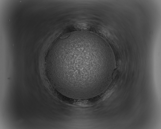 X0000088361201200705291300