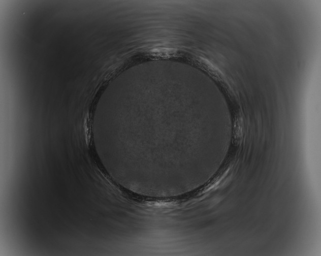 X0000088361202200705291300