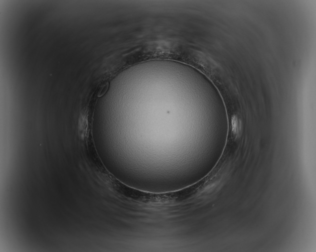 X0000088361203200705291300