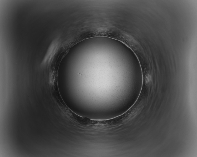 X0000088361204200705291300