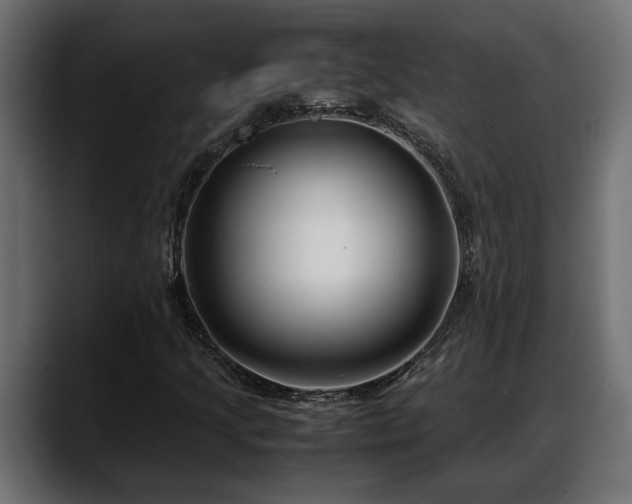 X0000088361205200705291300