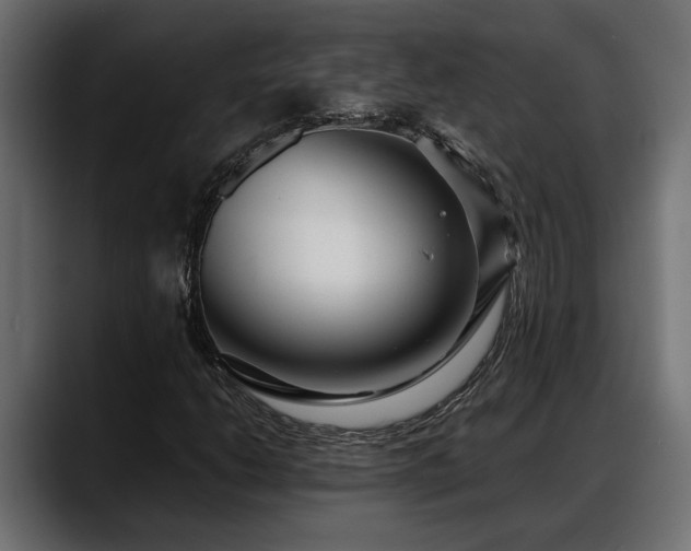 X0000088361206200705291300