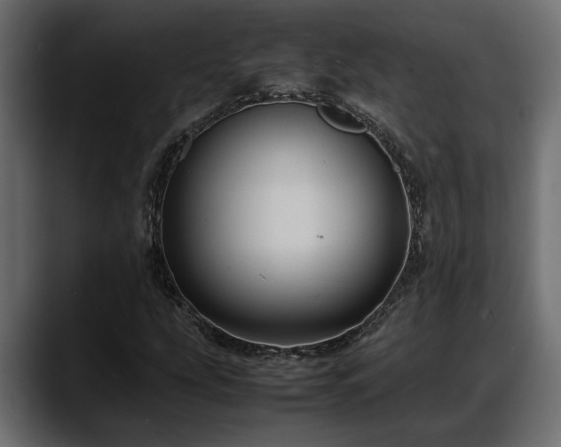 X0000088361207200705291300