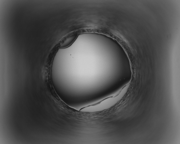 X0000088361208200705291300