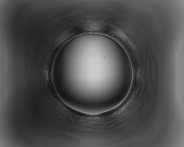 X0000088361209200705291300