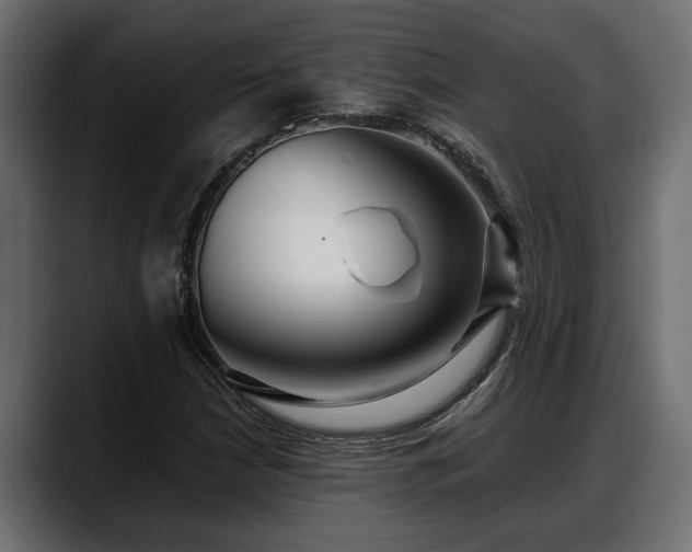 X0000088361210200705291300