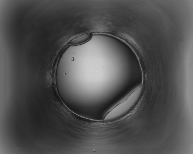 X0000088361212200705291300