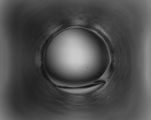 X0000088361213200705291300