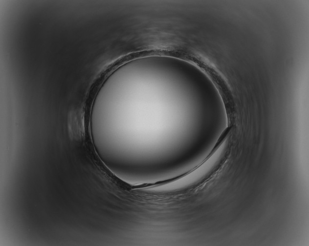 X0000088361214200705291300