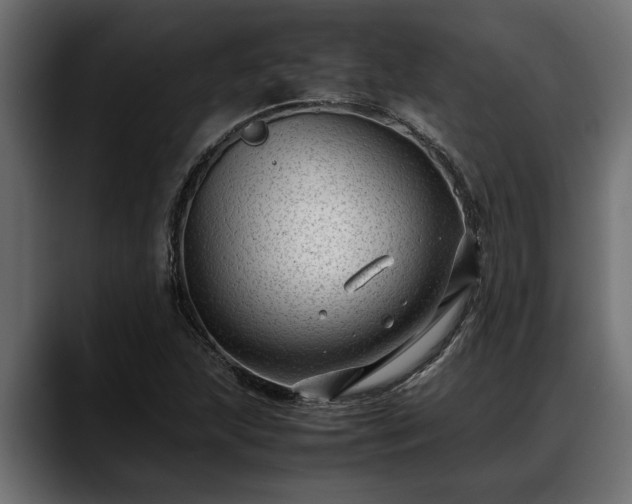 X0000088361215200705291300