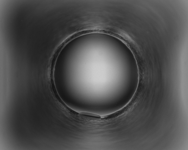 X0000088361216200705291300