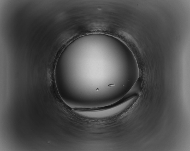 X0000088361217200705291300