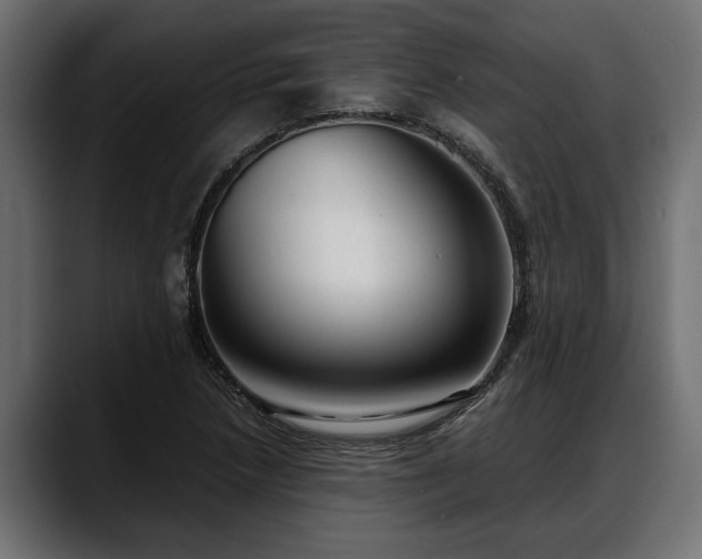 X0000088361218200705291300