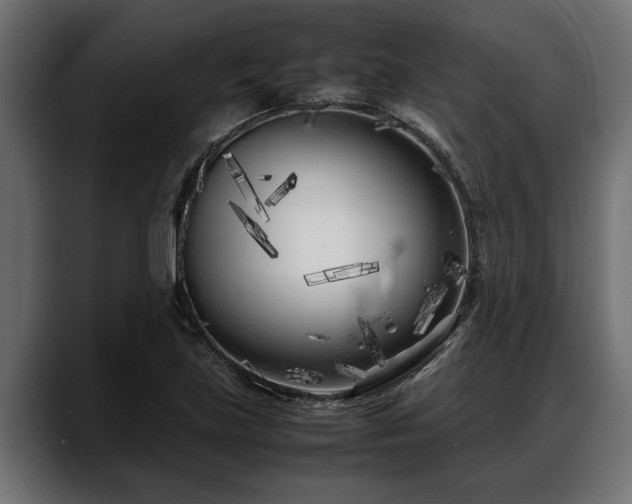 X0000088361219200705291300